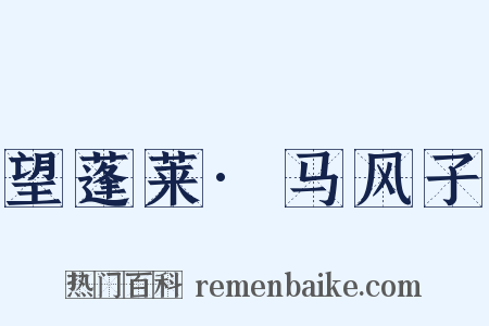 望蓬莱·马风子是什么意思的图片